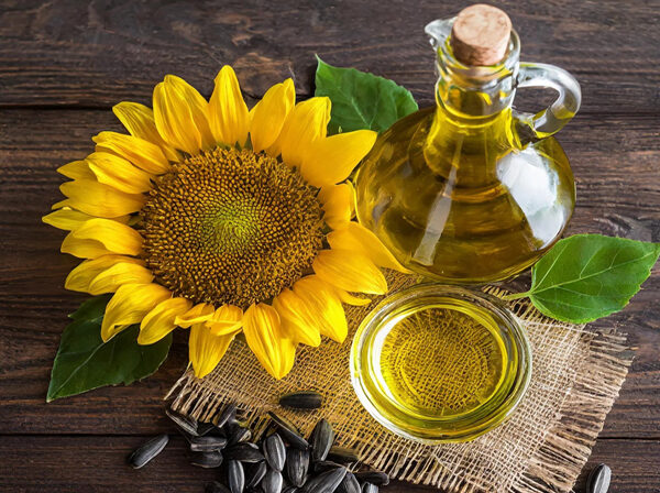 Sunflower Oil