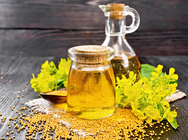 Canola Oil